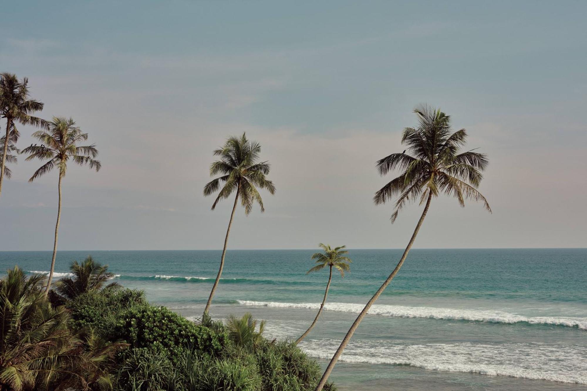 Gitano Surf Ahangama Beachfront 外观 照片
